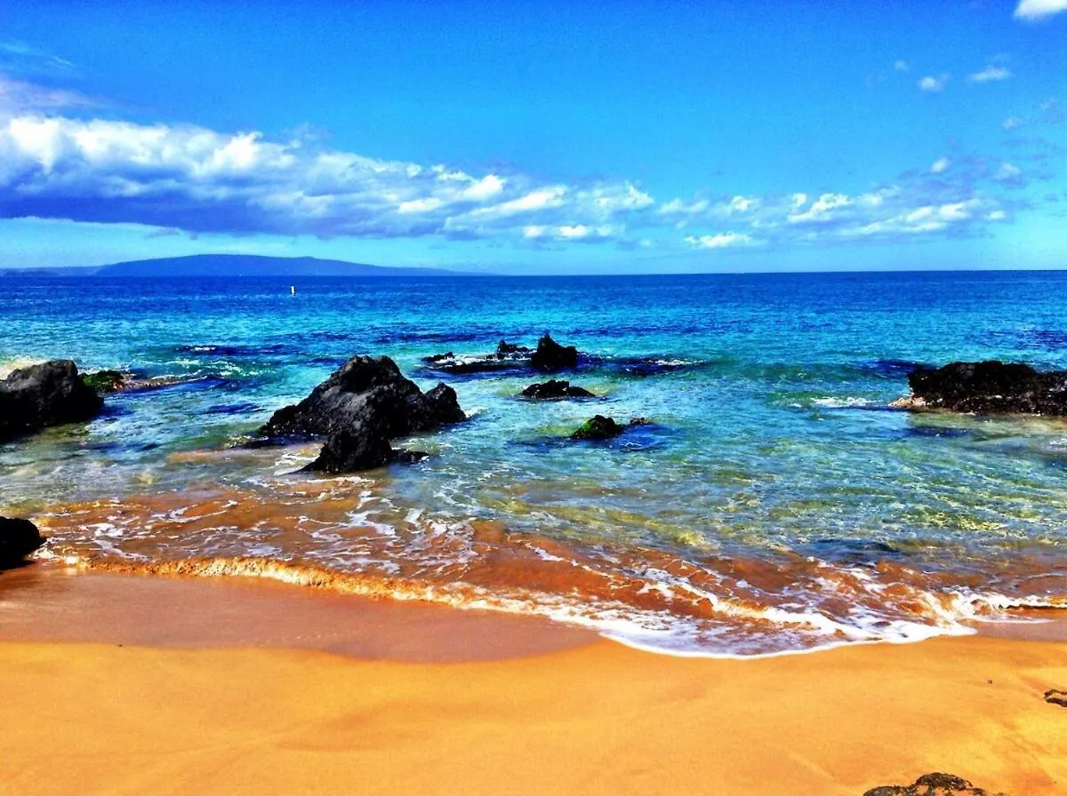 Apartamento Turtle Paradise - King Bed, Ac, Across From Beach Kihei Estados Unidos