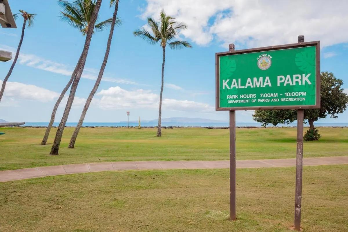 Turtle Paradise - King Bed, Ac, Across From Beach Kihei