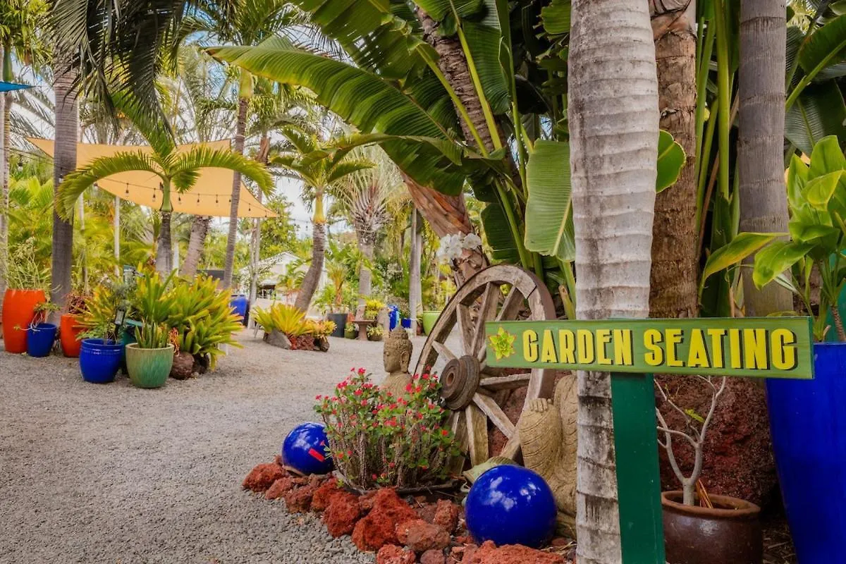 Turtle Paradise - King Bed, Ac, Across From Beach Kihei Estados Unidos