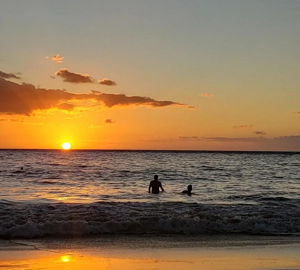 Turtle Paradise - King Bed, Ac, Across From Beach Kihei Apartamento