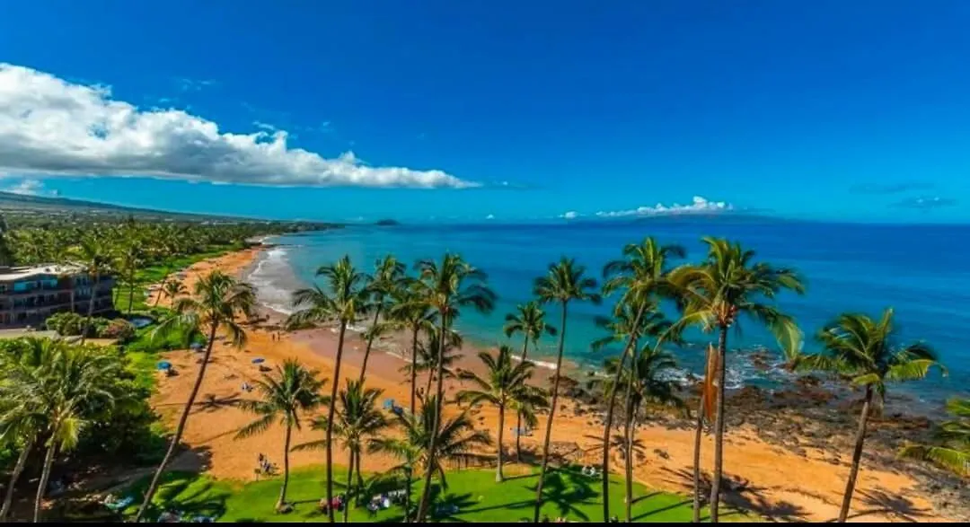 Turtle Paradise - King Bed, Ac, Across From Beach Kihei 0*,